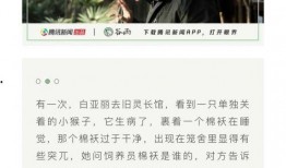 爱回家白天鹅爆料视频,揭秘剧情背后惊人内幕